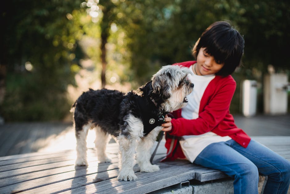 Hunde und Kleinkinder - Warum es schwierig ist, sie zusammenzubringen